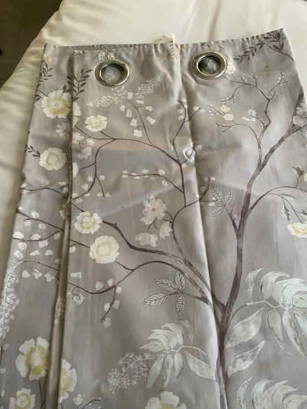 Photo of free Curtains & pole (Kenilworth CV8) #1