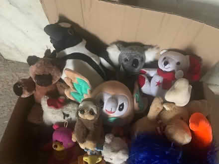 Photo of free So many soft toys (Harrietsham ME17) #2