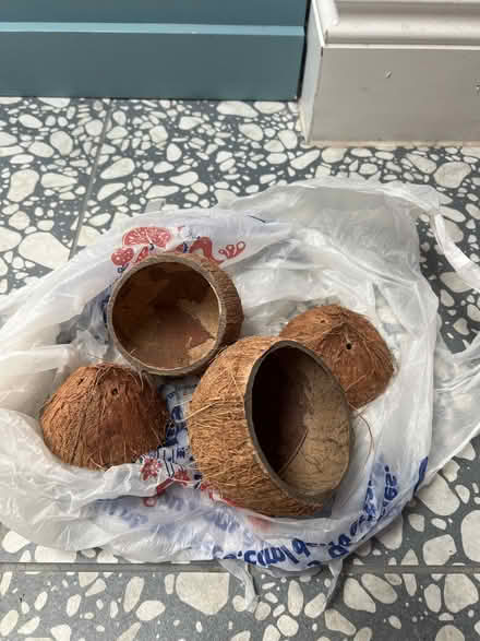 Photo of free Dried coconut shells (Fishponds BS16) #1