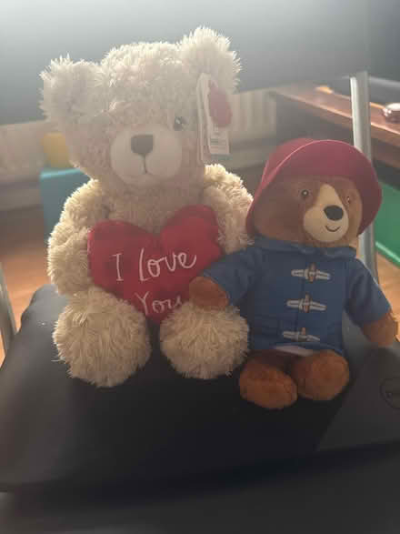 Photo of free Teddy đź’ś (Green lanes N4) #1