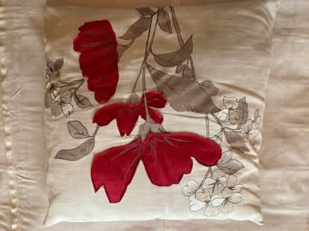 Photo of free Dunelm Curtains and cushions (Ravensmoor CW5) #3