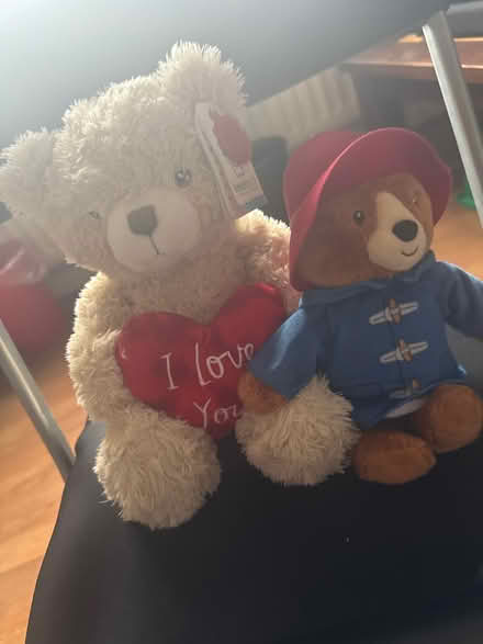 Photo of free Teddy đź’ś (Green lanes N4) #2