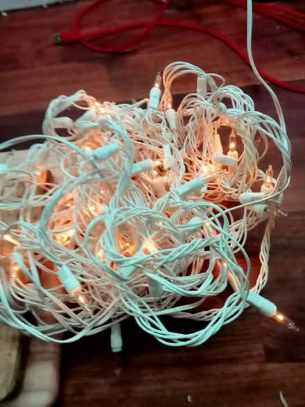 Photo of free Christmas lights (Polegate BN26) #1