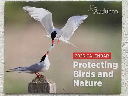 Photo of free 2026 calendars (Spring Hill, Somerville) #3