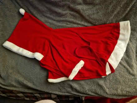 Photo of free Doggy Xmas outfit (Wakefield WF2) #1