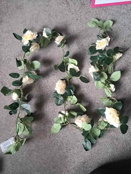 Photo of free Artificial flowers (Bonnyrigg EH19) #4