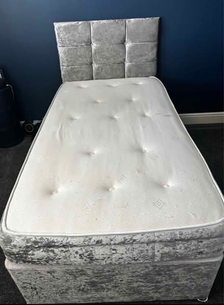 Photo of free Single divan bed with headboard (M15 hulme) #2