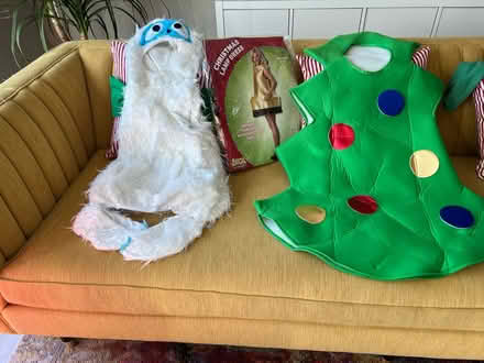 Photo of free Kids Christmas costumes (83rd & Mendingwall) #2