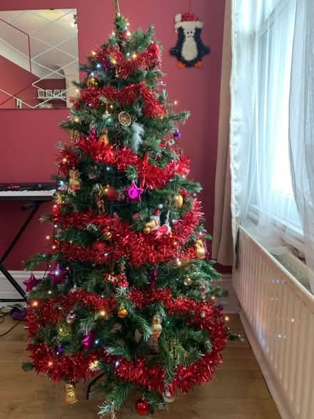 Photo of free Christmas tree (Telegraph Hill Lewisham) #2