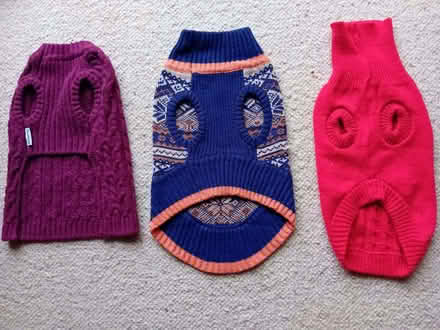 Photo of free dog jumpers (New Hinksey OX1) #2