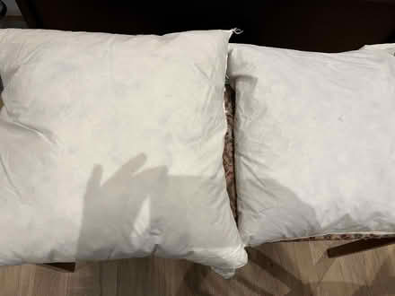 Photo of free Two feather filled cushions (Warsash SO31) #1