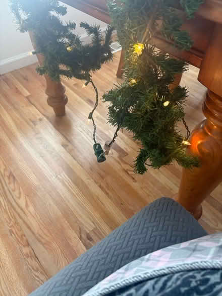 Photo of free Prelit Garland (Thornton) #3