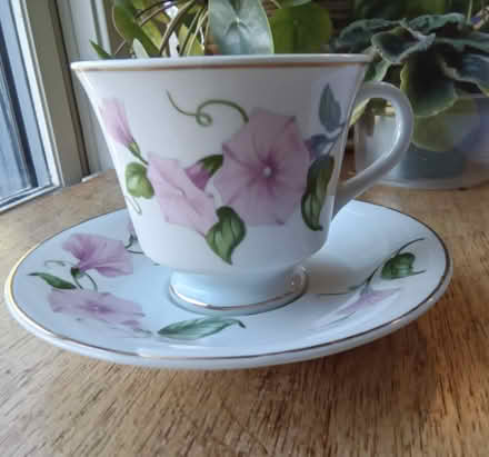 Photo of free Decorative Tea Cup (Hawthorne Hills in NE Seattle) #1