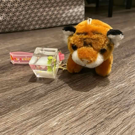 Photo of free Keychains (2x) (Bethesda, MD) #1