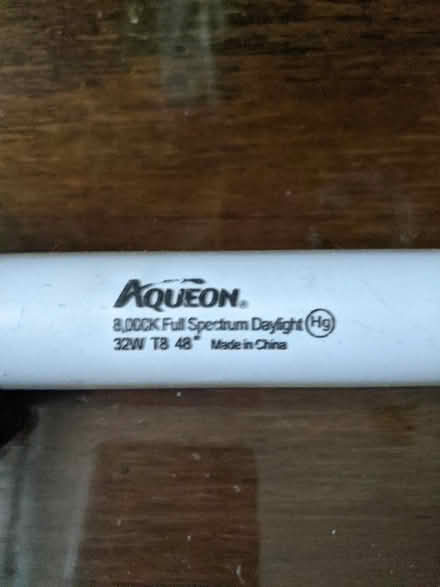Photo of free Aqueon 32W Daylight Bulb (East Village) #1