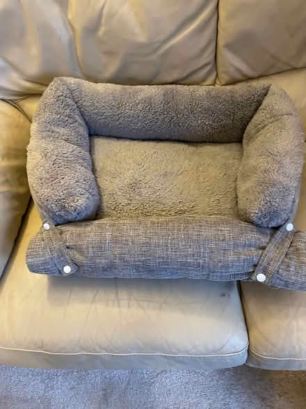 Photo of free Cat bed (Yarnton ox51nd) #1