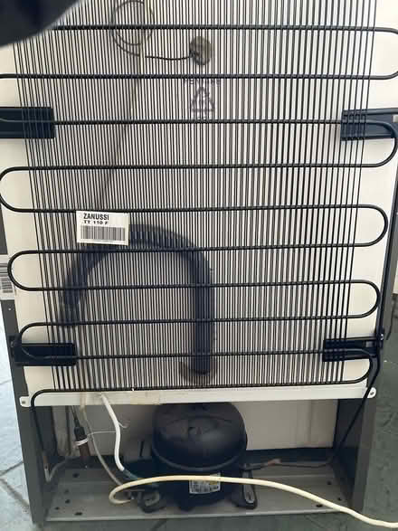 Photo of free Freezer - Zanussi - grey (CT14) #4