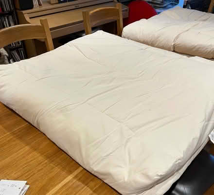 Photo of free 2 x very large sofa seat cushions (Shiplake Cross) #1