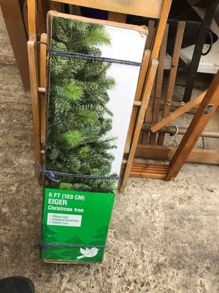 Photo of free Christmas tree (Dursley GL11) #2