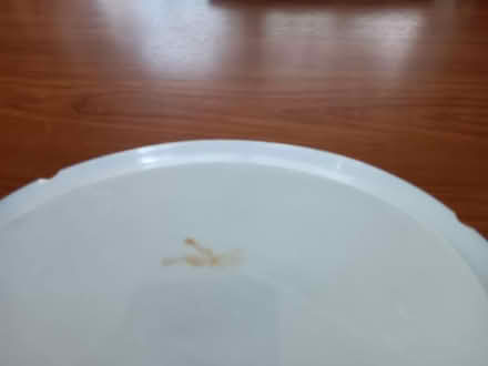 Photo of free Large china meat platter (Holmes Chapel CW4) #2