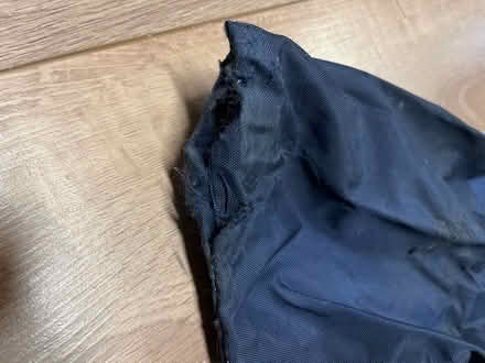 Photo of free Salomon ski bag (Westboro, ottawa) #2