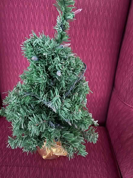 Photo of free Artificial Tabletop Christmas Tree (Kings Contrivance, Columbia) #1