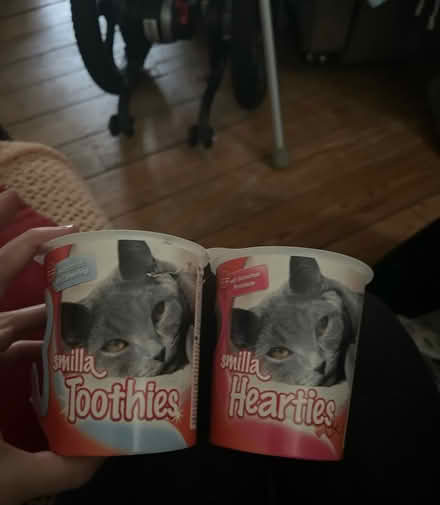 Photo of free Cat treats out of date (Brighton BN2) #1