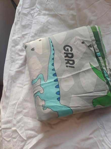 Photo of free Dinasour double duvet with pillow (Stockport sk1) #2