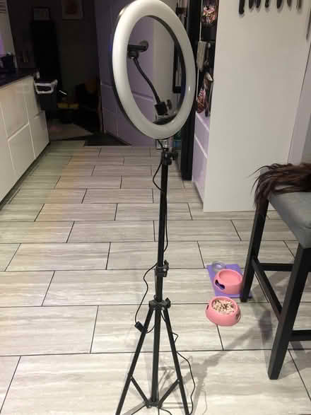Photo of free Freestanding Spotlight (Spencers wood RG7) #2