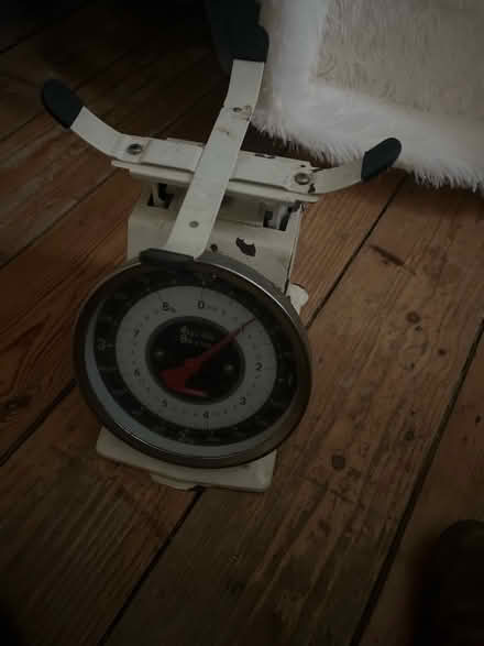 Photo of free Scales (Lewes) #1