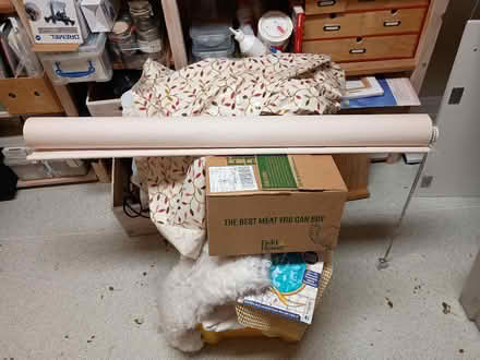 Photo of free Cream Roller Blind (DA12) #3