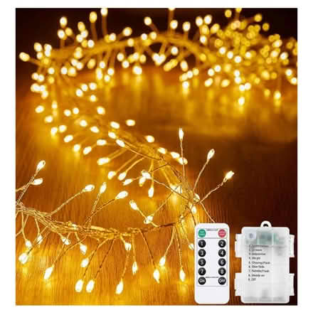 Photo of Garland with lights (Preston Park) #2