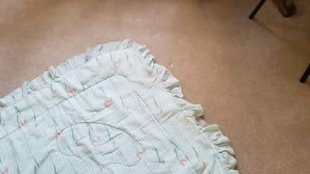 Photo of free Comforter for twin bed (Severn off Quarterfield Road) #1