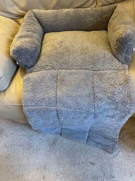 Photo of free Cat bed (Yarnton ox51nd) #2