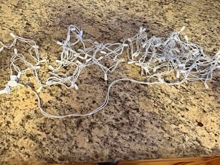Photo of free little white Christmas lights (Columbia MD) #2