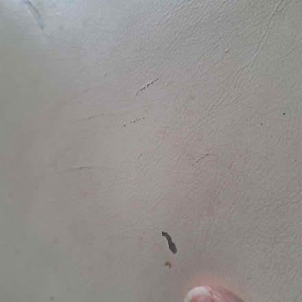 Photo of free Stool, pouffe, large, square with storage (Seaside BN22) #4