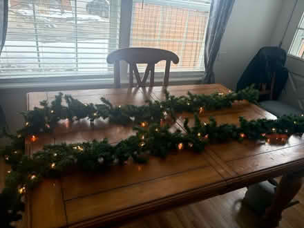 Photo of free Prelit Garland (Thornton) #1