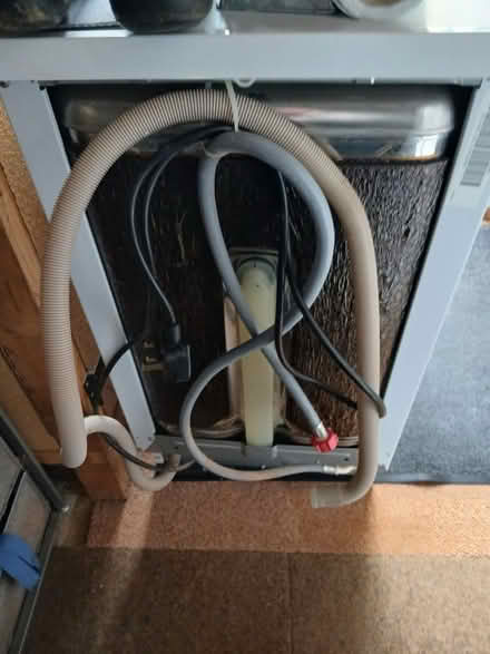 Photo of free Dish Washer (Luton LU2) #3