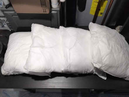 Photo of free Throw pillow inserts (Brentwood) #1