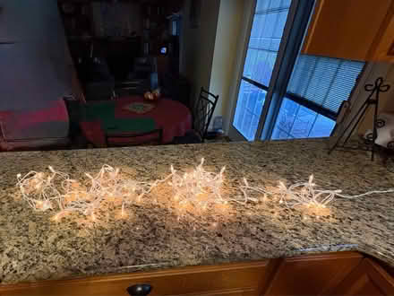 Photo of free little white Christmas lights (Columbia MD) #1