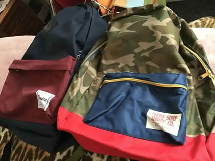 Photo of free Backpacks. Large. (Fintry DD4) #1