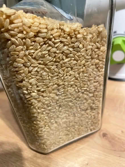 Photo of free Spanish brown rice (Warden Hill GL51) #1