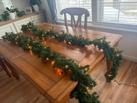 Photo of free Prelit Garland (Thornton) #2