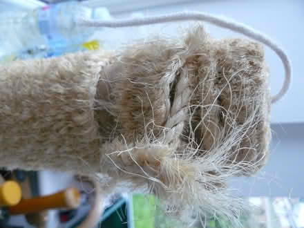 Photo of free Cat scratching post. Old & tatty (Kempsey WR5) #2