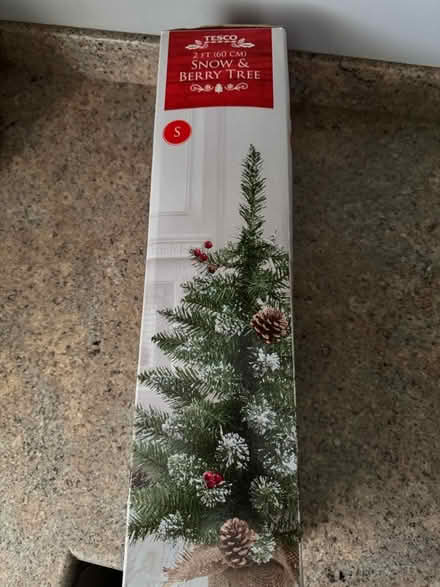 Photo of free Small 2ft Christmas tree (North Wingfield S42) #1