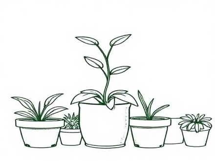 Photo of free Plastic plant pots . (Stanley DE7) #1