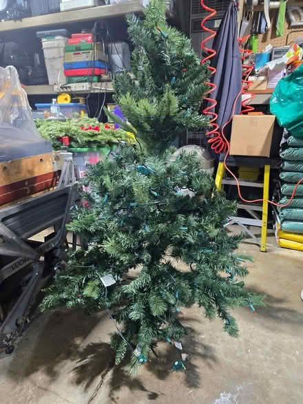 Photo of free 4.5' tree (Woodridge) #1