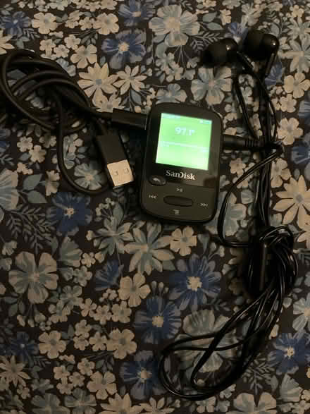 Photo of free SanDisk MP3 Player (Near Gary Ave & Schick Rd) #1