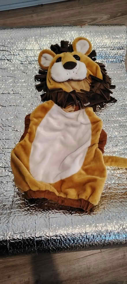 Photo of free Lion costume (Templeogue) #1