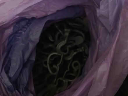 Photo of free Christmas lights (Walderslade Bottom ME5) #2